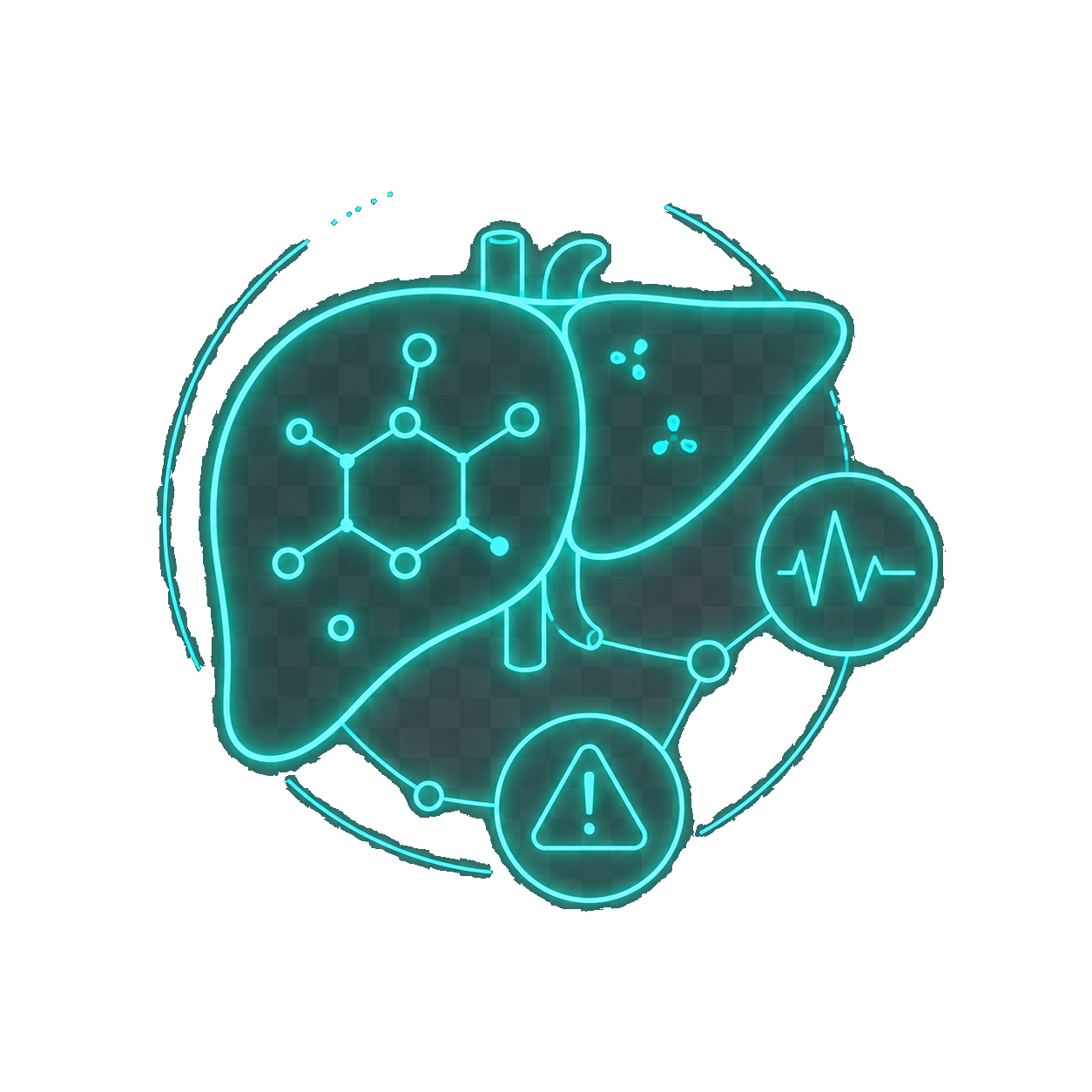 Hepatotoxicity